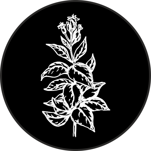 collection-img