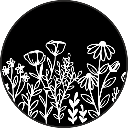 collection-img